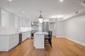 cambridge condo renovation (3)
